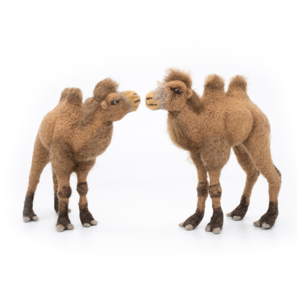 小物 HYEON ted stole camel Amazon.com: MON AMI Humphrey The Camel Stuffed Animal – 12